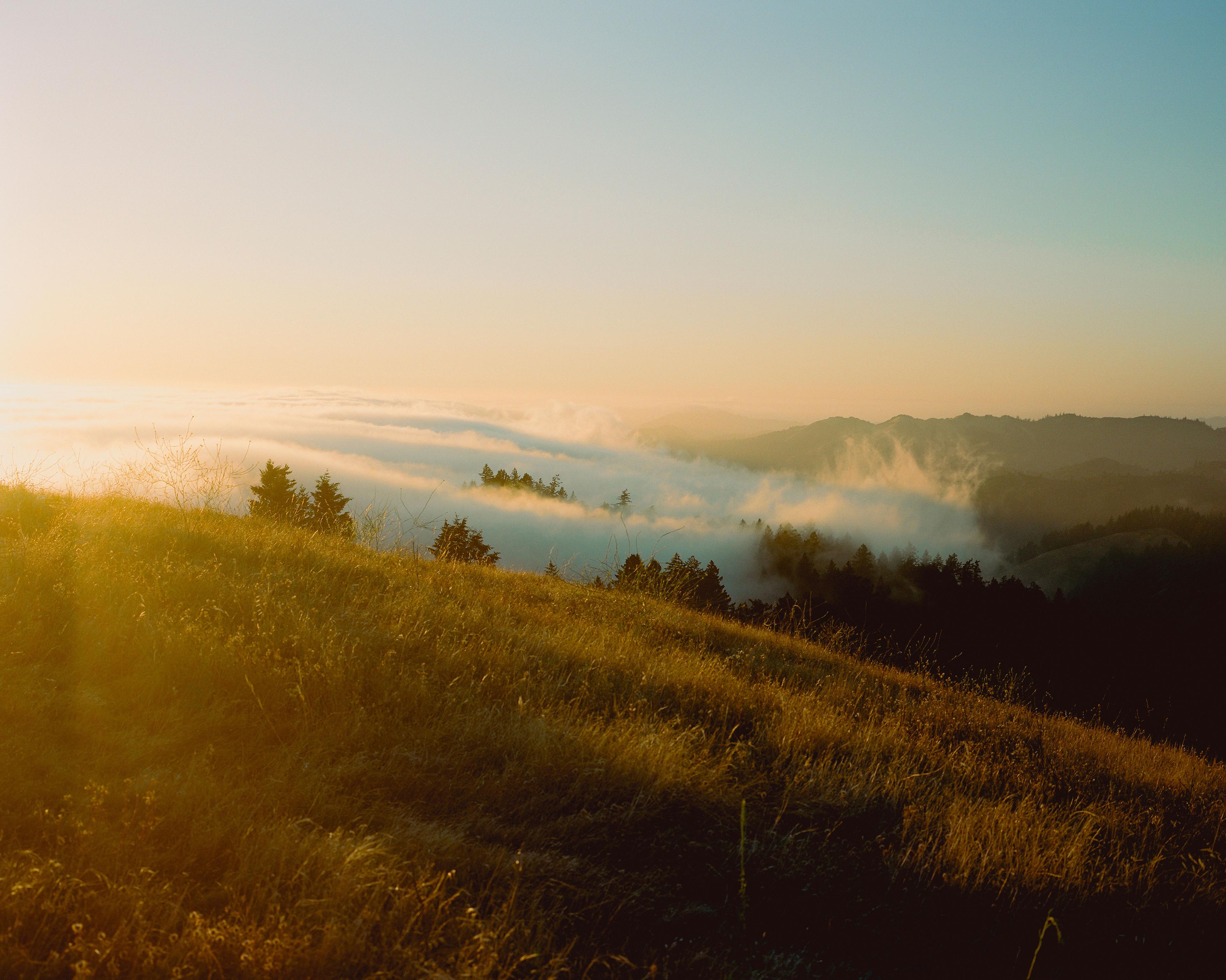 Light flares from golden hour.