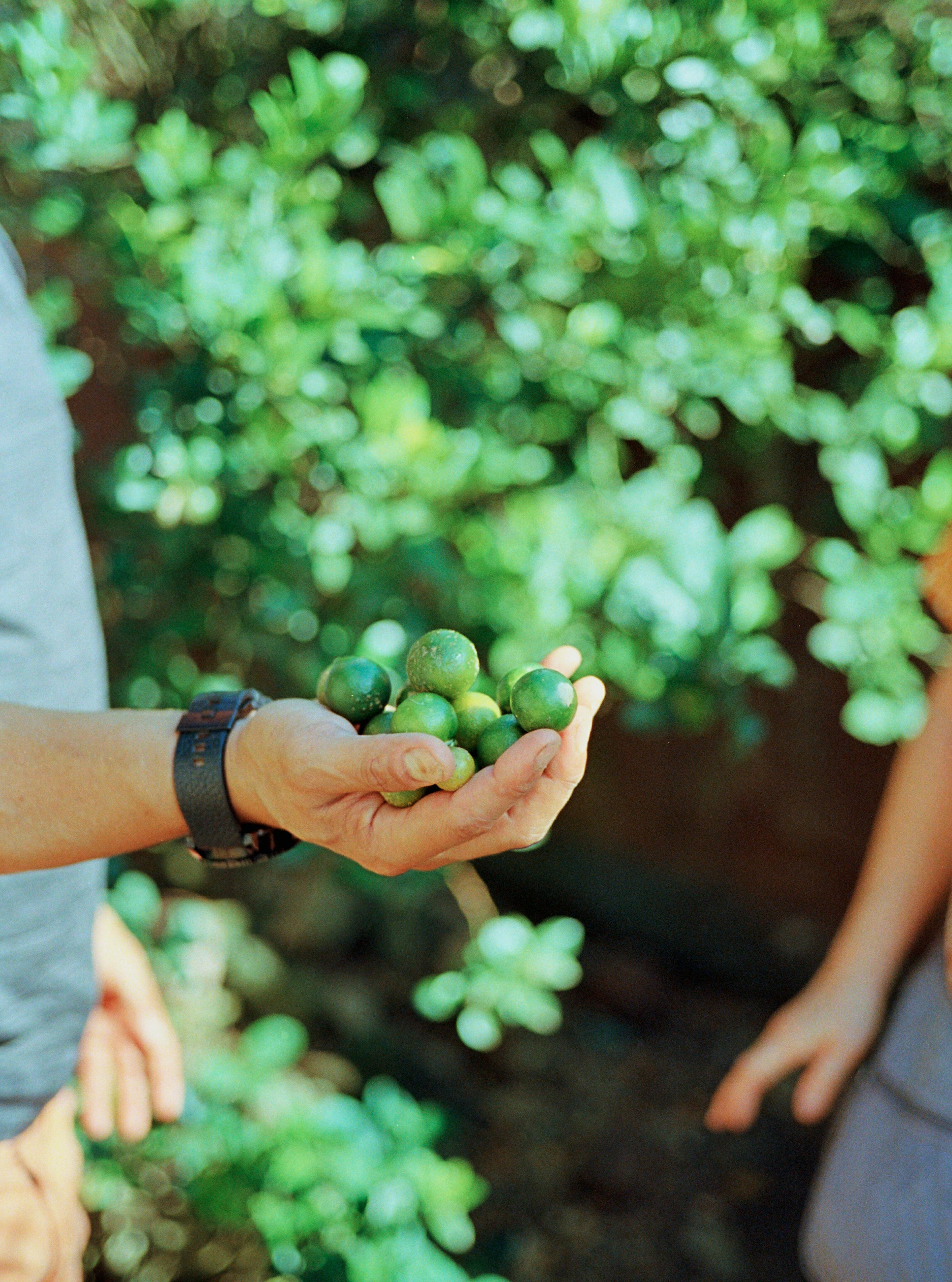 Kodak Ektar 100 on 35mm Film by @akiremae